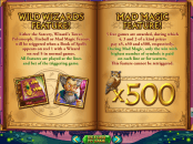 'Wild Wizards' by 'Realtime Gaming'. Click the image to enlarge.