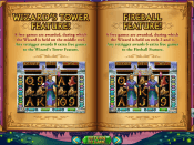 'Wild Wizards' by 'Realtime Gaming'. Click the image to enlarge.