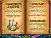 'Wild Wizards' by 'Realtime Gaming'. Click the image to enlarge.