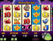 'Miss Kitty' by 'Aristocrat'. Click the image to enlarge.