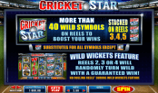'Cricket Star' by 'Microgaming'. Click the image to enlarge.