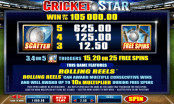 'Cricket Star' by 'Microgaming'. Click the image to enlarge.
