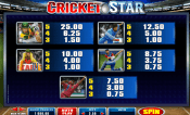 'Cricket Star' by 'Microgaming'. Click the image to enlarge.