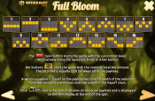 'Full Bloom' by 'Slotland'. Click the image to enlarge.