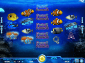 'Pacific Paradise' by 'IGT'. Click the image to enlarge.