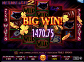 'Hexbreaker 2' by 'IGT'. Click the image to enlarge.