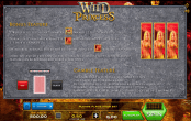 'Wild Princess' by 'Blue Ocean Gaming - Xplosive'. Click the image to enlarge.