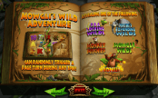 'Jungle Jackpots Mowgli's Wild Adventure' by 'Blueprint Gaming'. Click the image to enlarge.
