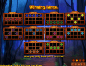 'Page of Fortune Deluxe' by 'Zeus Play'. Click the image to enlarge.