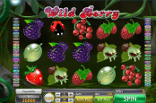 'Wild Berry' by 'Genii'. Click the image to enlarge.