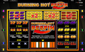 'Burning Hot Respin' by 'Novomatic'. Click the image to enlarge.