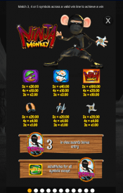 'Ninja Monkey' by 'Inspired'. Click the image to enlarge.
