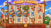 'Cash Camel' by 'iSoftBet'. Click the image to enlarge.