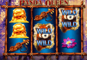 'Panda Queen' by 'IGT'. Click the image to enlarge.