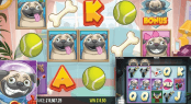 'Pugs Life' by 'PearFiction Studios'. Click the image to enlarge.