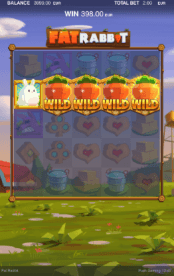 'Fat Rabbit' by 'Push Gaming'. Click the image to enlarge.