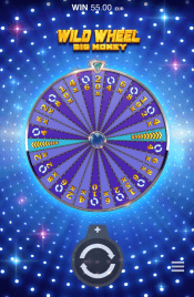 'Wild Wheel Big Money' by 'Push Gaming'. Click the image to enlarge.