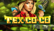 'TexCoCo' by 'Fuga Gaming'. Click the image to enlarge.