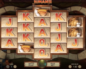 'Jumanji' by 'Net Entertainment'. Click the image to enlarge.