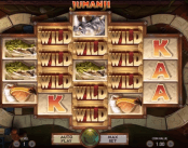 'Jumanji' by 'Net Entertainment'. Click the image to enlarge.