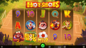 'Hot Shots' by 'iSoftBet'. Click the image to enlarge.