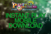 'Plentiful Treasure' by 'Realtime Gaming'. Click the image to enlarge.