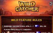 'Wild Catcher' by 'Wild Streak Gaming'. Click the image to enlarge.