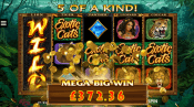 'Exotic Cats' by 'Microgaming'. Click the image to enlarge.