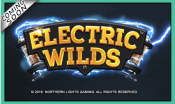 'Electric Wilds' by 'Northern Lights Gaming'. Click the image to enlarge.