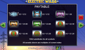 'Electric Wilds' by 'Northern Lights Gaming'. Click the image to enlarge.