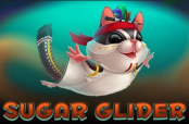 'Sugar Glider' by 'Endorphina'. Click the image to enlarge.