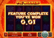'Pig Winner' by 'Realtime Gaming'. Click the image to enlarge.