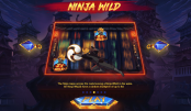 'Ninja Ways' by 'Red Tiger'. Click the image to enlarge.