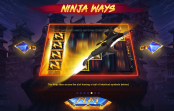 'Ninja Ways' by 'Red Tiger'. Click the image to enlarge.