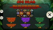 'Big Bear' by 'Playtech'. Click the image to enlarge.