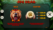 'Big Bear' by 'Playtech'. Click the image to enlarge.