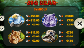 'Big Bear' by 'Playtech'. Click the image to enlarge.