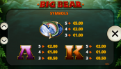 'Big Bear' by 'Playtech'. Click the image to enlarge.