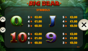 'Big Bear' by 'Playtech'. Click the image to enlarge.
