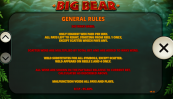 'Big Bear' by 'Playtech'. Click the image to enlarge.