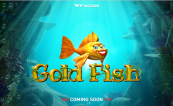 'Gold Fish' by 'Wazdan'. Click the image to enlarge.