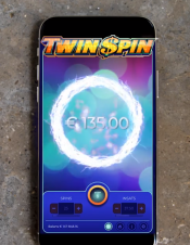 'Blitz - Grouped Slot' by 'Net Entertainment'. Click the image to enlarge.