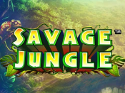 'Savage Jungle' by 'Playtech'. Click the image to enlarge.