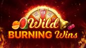 'Wild Burning Wins 5 lines' by 'Playson'. Click the image to enlarge.