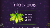 'Firefly Frenzy﻿' by 'Play'n GO'. Click the image to enlarge.