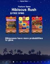 'Hawaiian Dreams' by 'Golden Hero'. Click the image to enlarge.