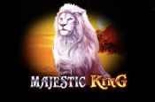 'Majestic King' by 'Spinomenal'. Click the image to enlarge.
