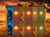 'Wild Cats Multiline' by 'Red Tiger'. Click the image to enlarge.