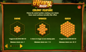 'Honey Rush' by 'Play'n GO'. Click the image to enlarge.