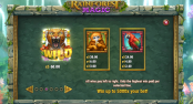'Rainforest Magic' by 'Play'n GO'. Click the image to enlarge.